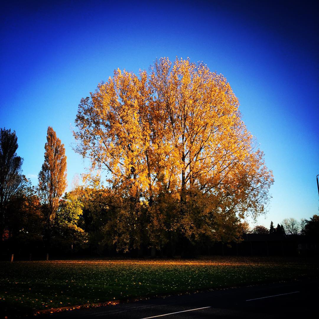 Autumn