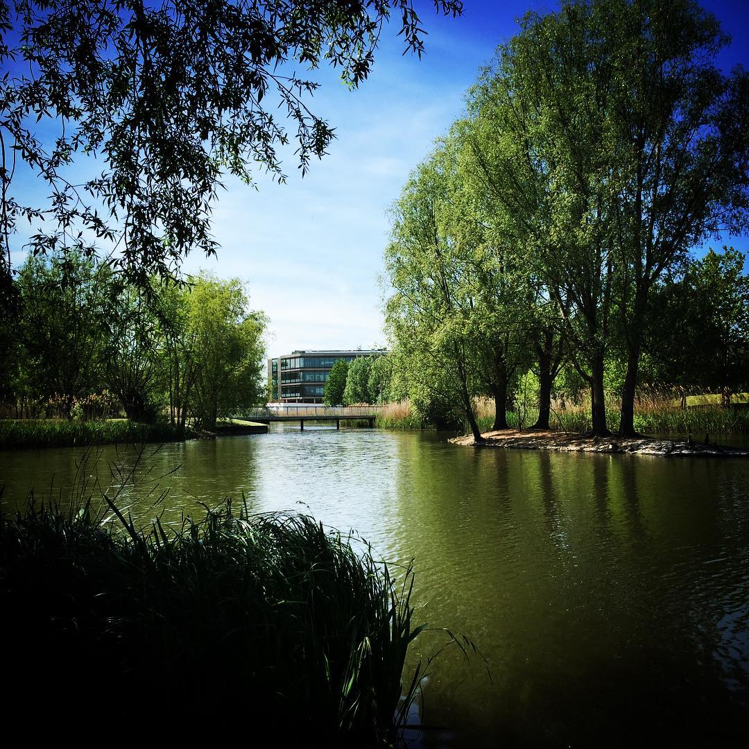Starting to feel like summer…