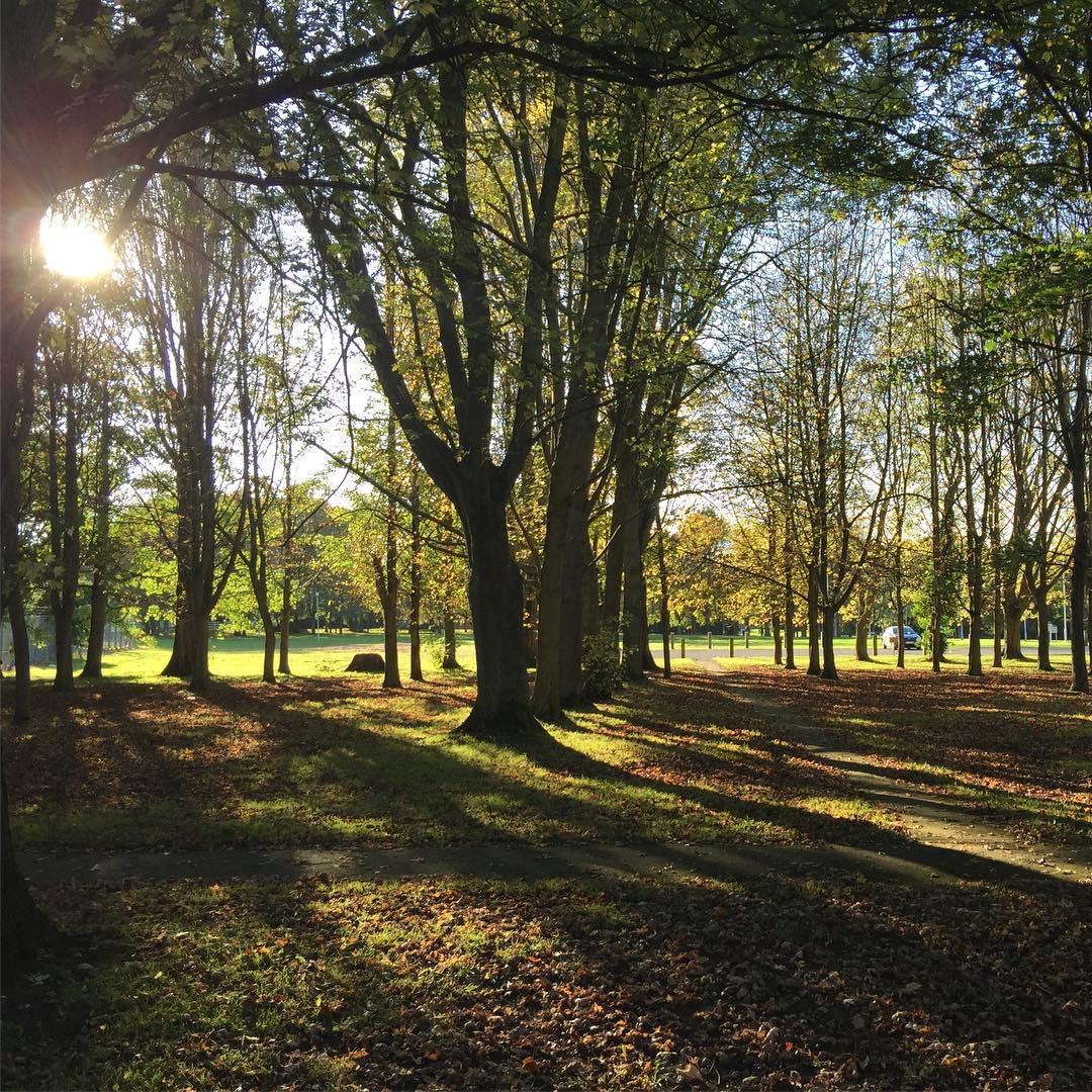 Autumn Sun