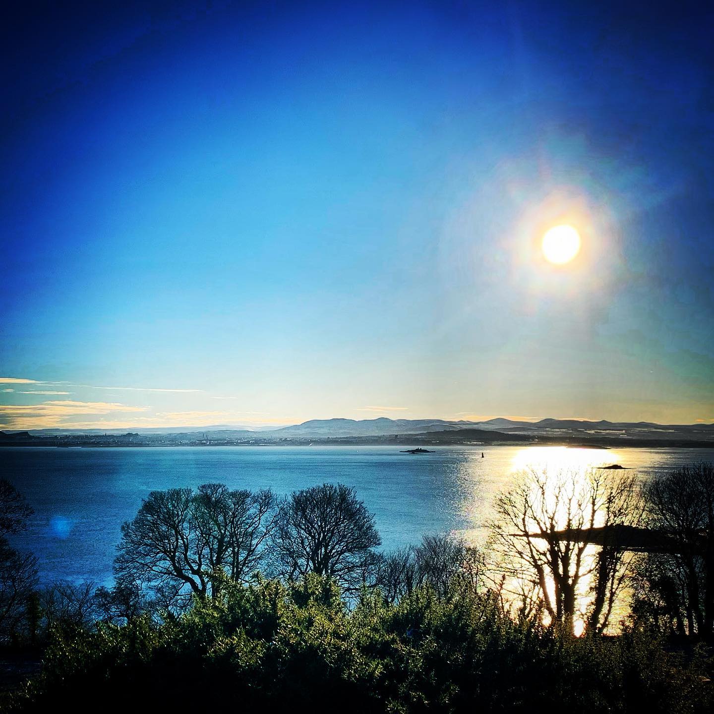 Winter Sun