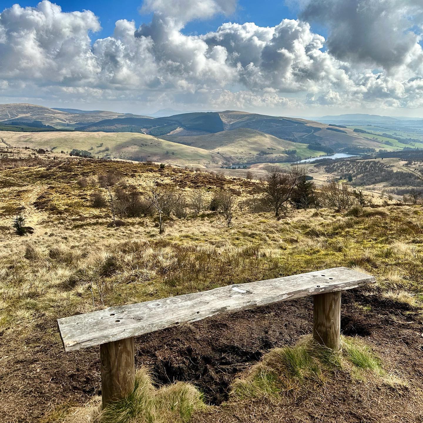 The Highest Bench in the Ochils